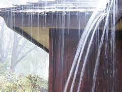 clogged gutters and soil erosion