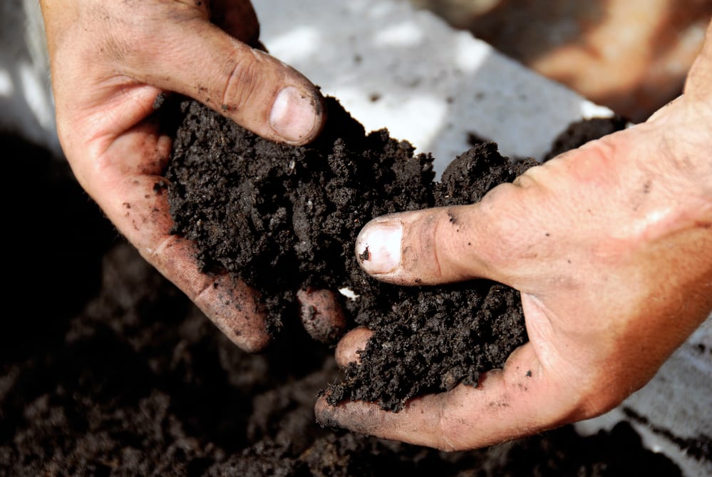 pair of hands crumbling soil