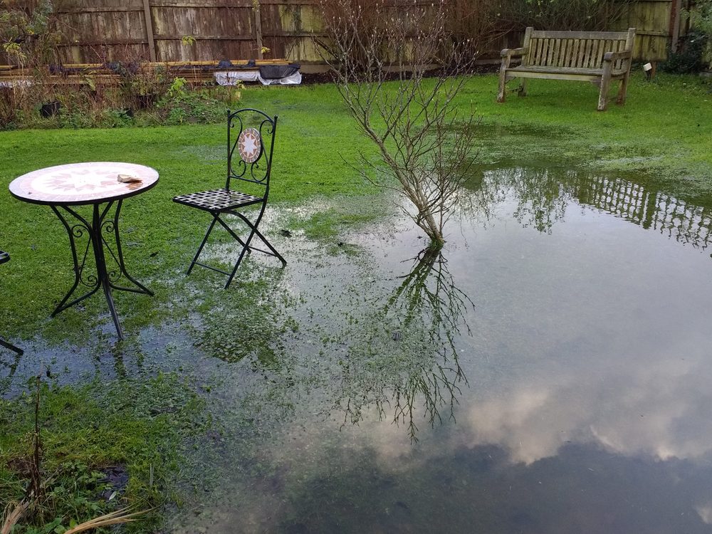Flooded yard with benches
