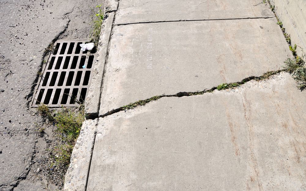 photo of a cracked sidewalk