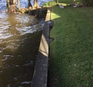 If your seawall is bowing or leaning toward the body of water, chances are the soil behind it is saturated with water.